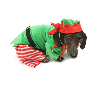 Midlee Dog Elf Costume