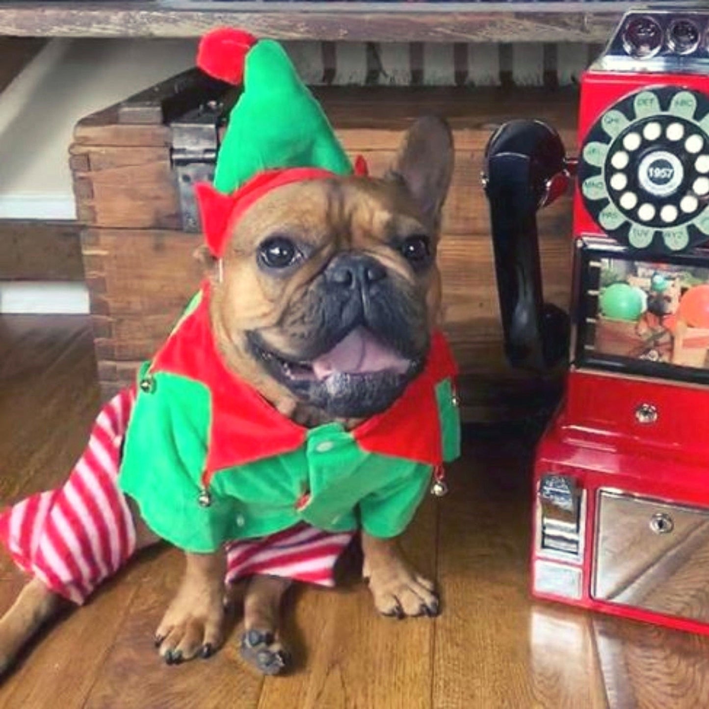 Midlee Dog Elf Costume