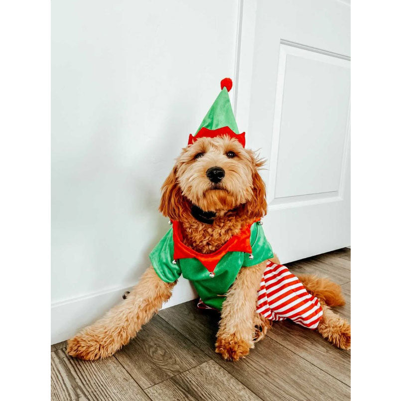 Midlee Dog Elf Costume