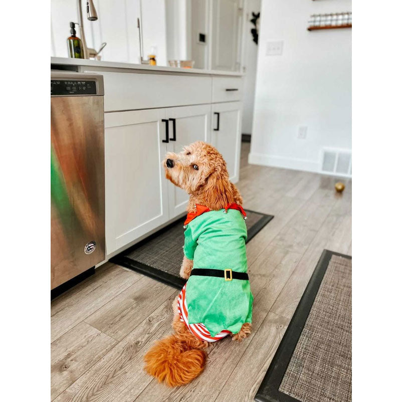 Midlee Dog Elf Costume