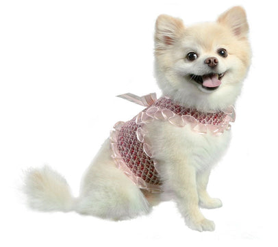 Alexa Harness