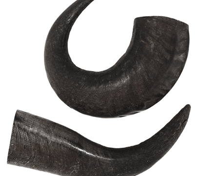 Peaks N Paws Water Buffalo Dog Chew - Large