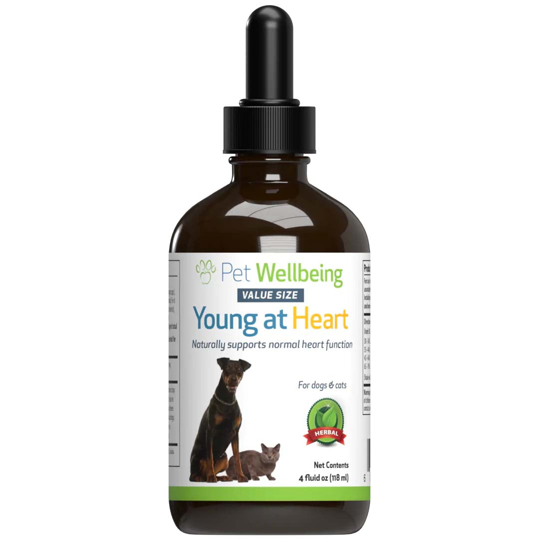 Pet Wellbeing - Young at Heart