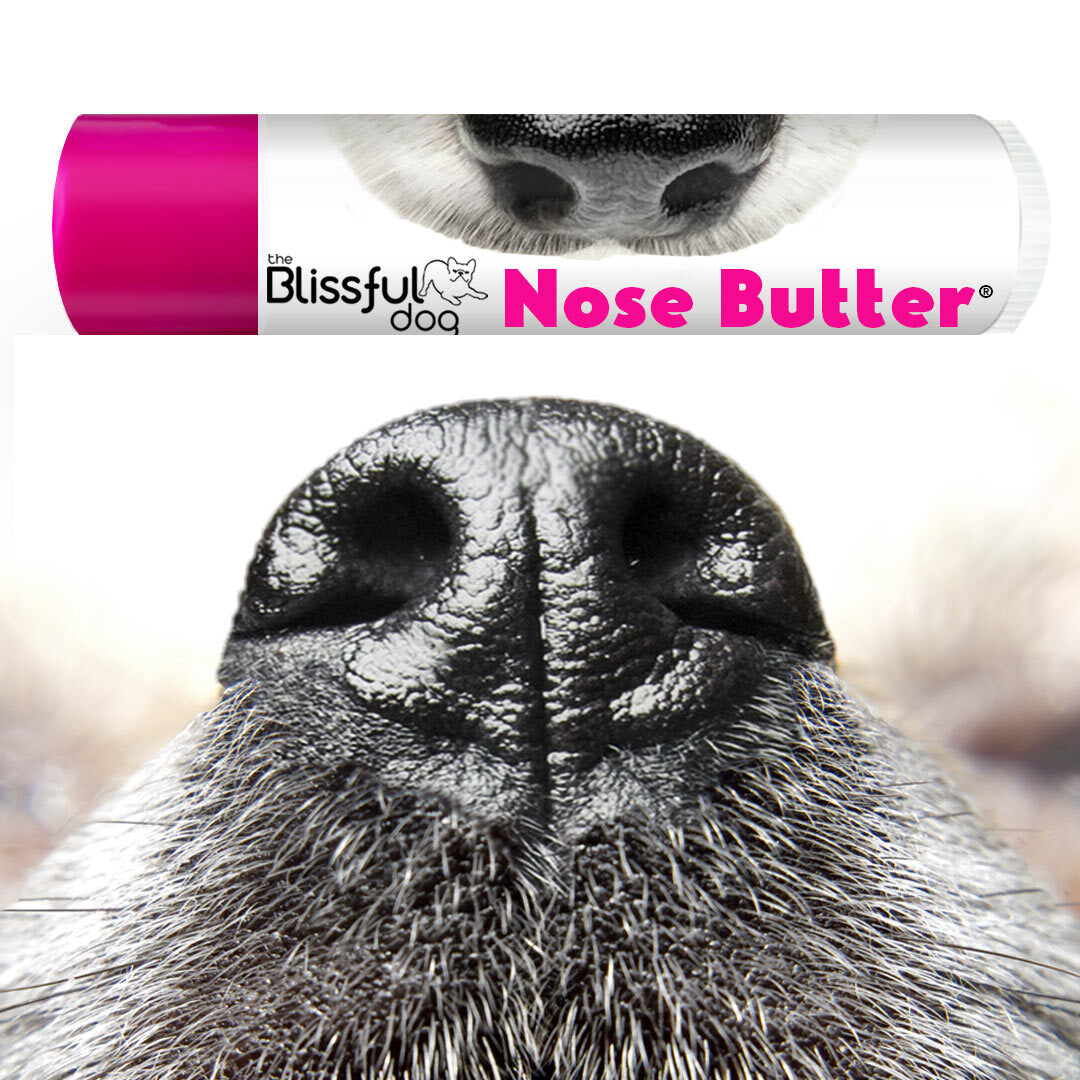 Nose Butter for Rough, Dry Dog Noses