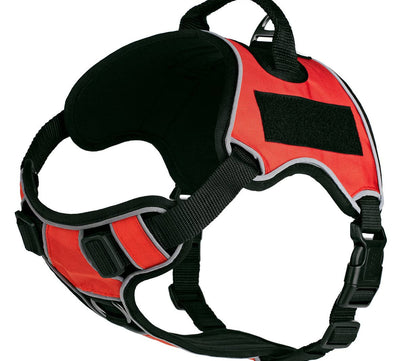 Dogline Quest Multi-Purpose Dog Harness, Red, 15-18”