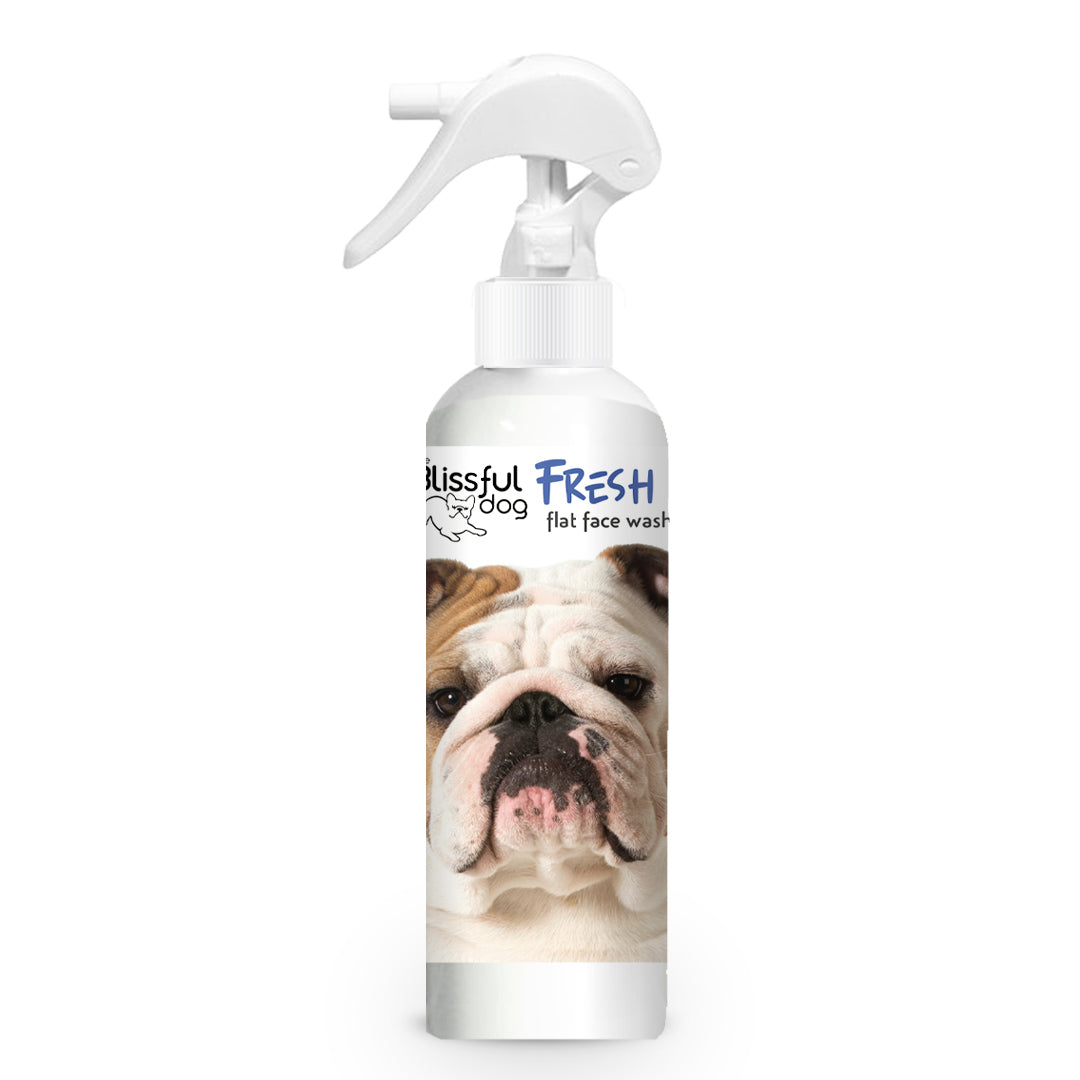 Fresh Flat Face Wash | Flat &amp; Wrinkle Dog Faces