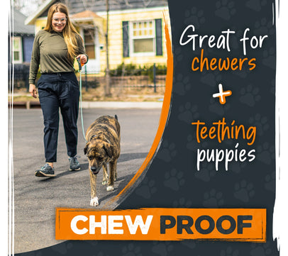 Mighty Paw Chain Dog Leash - 6ft