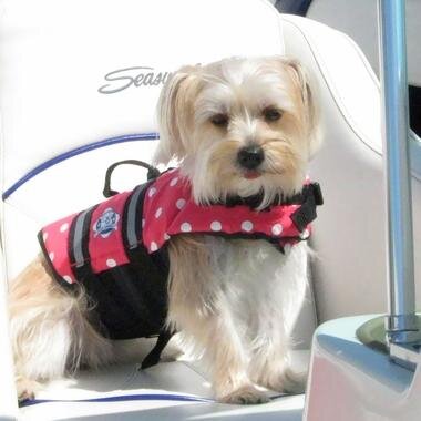 Paws Aboard Pink Polka Dot Dog Life Jacket (Fido Pet)