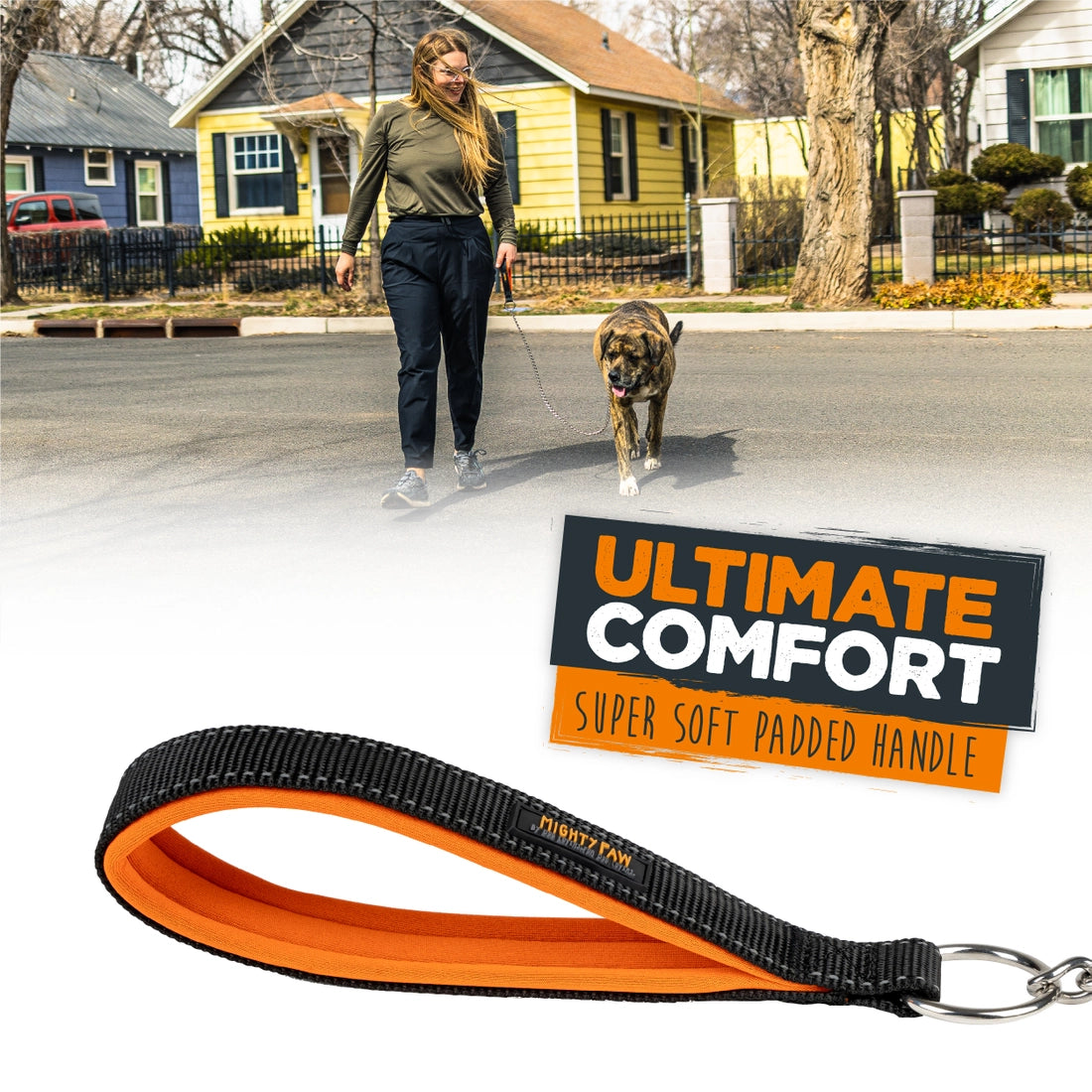 Mighty Paw Chain Dog Leash - 6ft