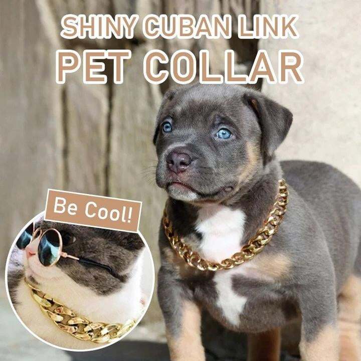 Thick Gold Chain Pets Safety Collar (Adjustable Length)