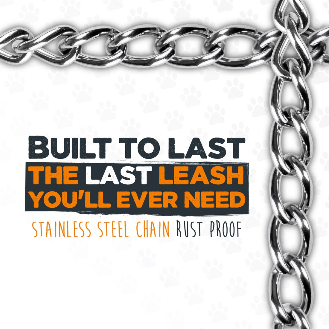 Mighty Paw Chain Dog Leash - 6ft