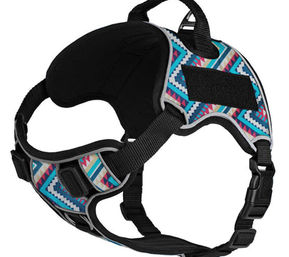 Dogline Quest Multi-Purpose Dog Harness, Aztec, 21-25"