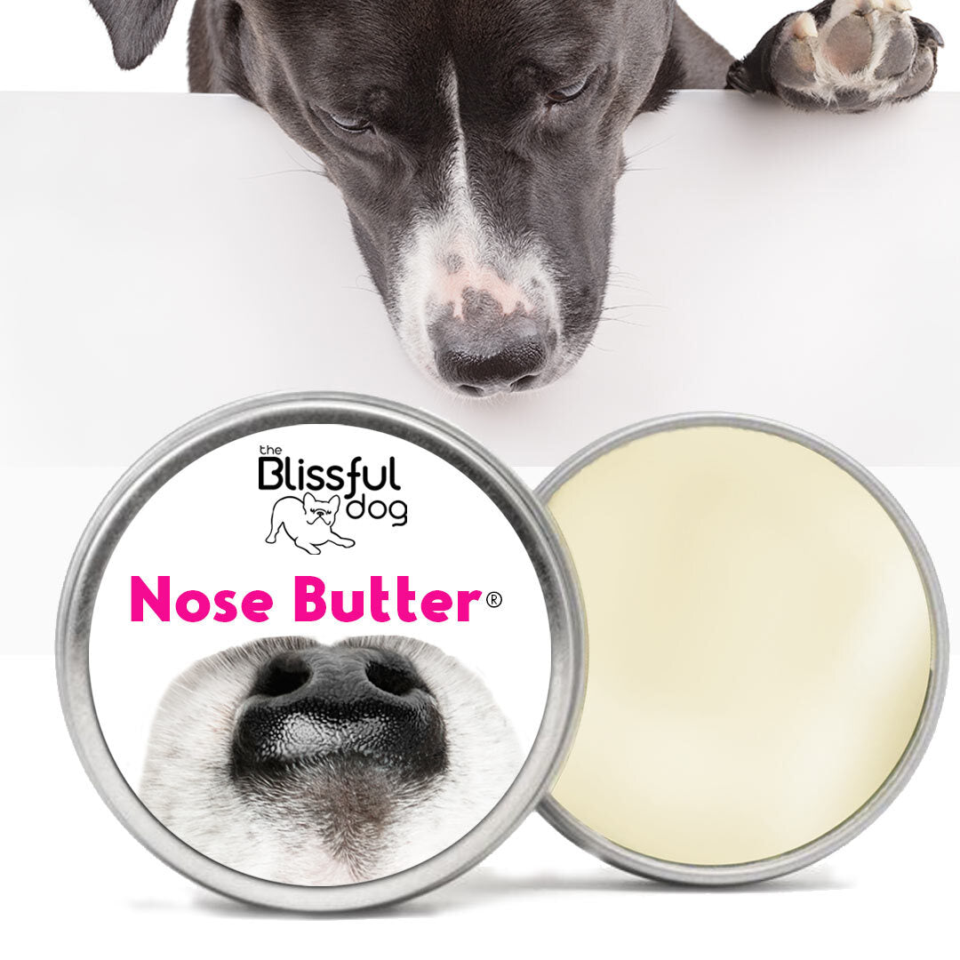 Nose Butter for Rough, Dry Dog Noses