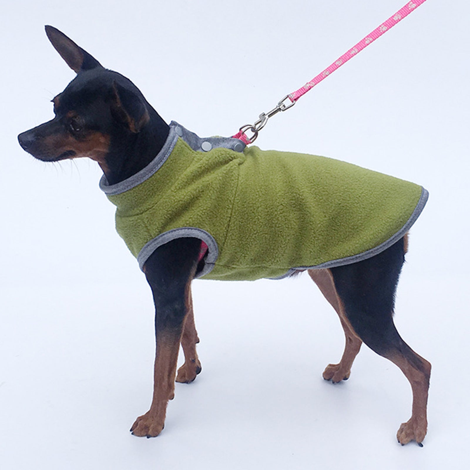 Pullover Dog Sweatshirt