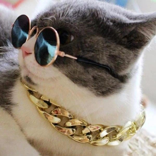 Thick Gold Chain Pets Safety Collar (Adjustable Length)