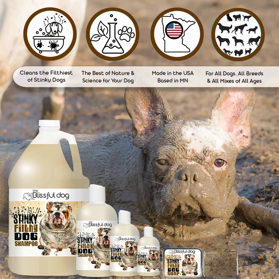 Stinky Filthy Dog Bar Soap for Your Filthy Animal